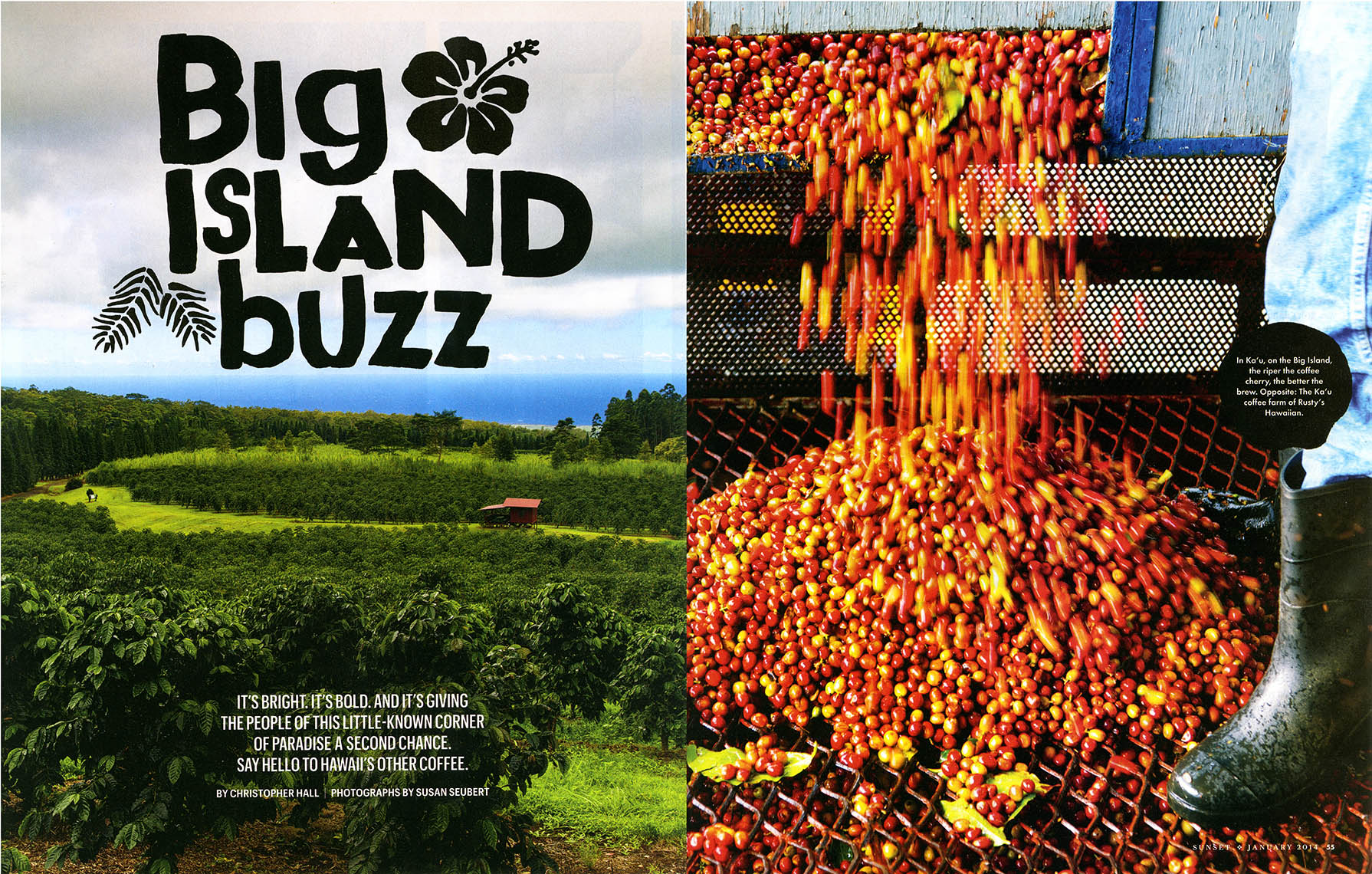 big_island_spread_1