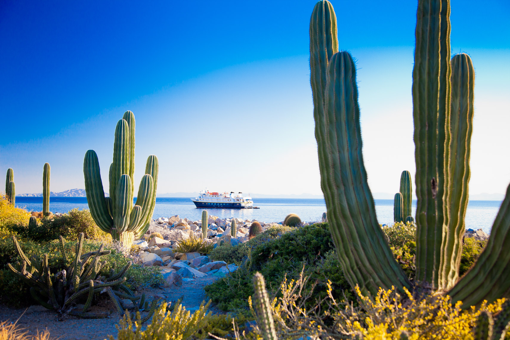 ship_baja_1